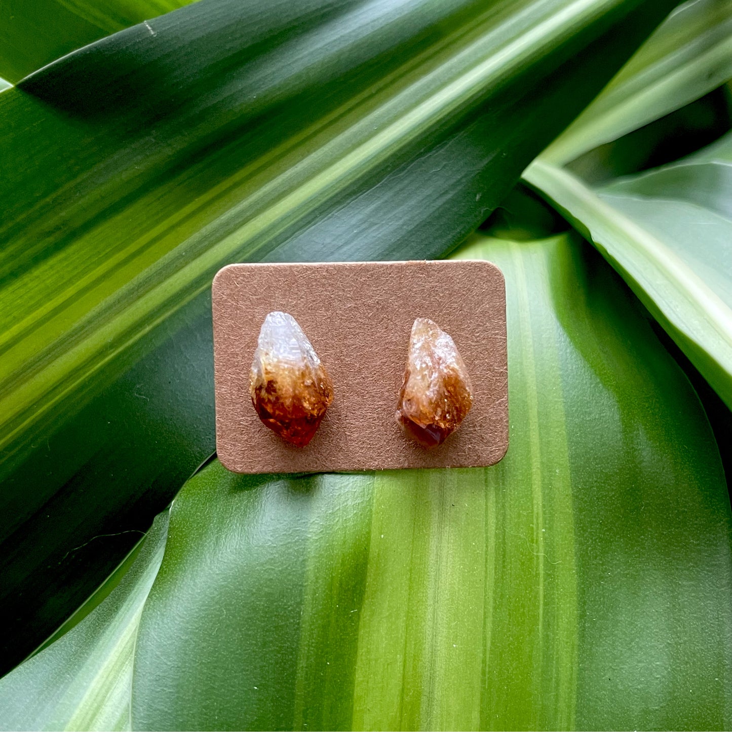 Citrine Studs