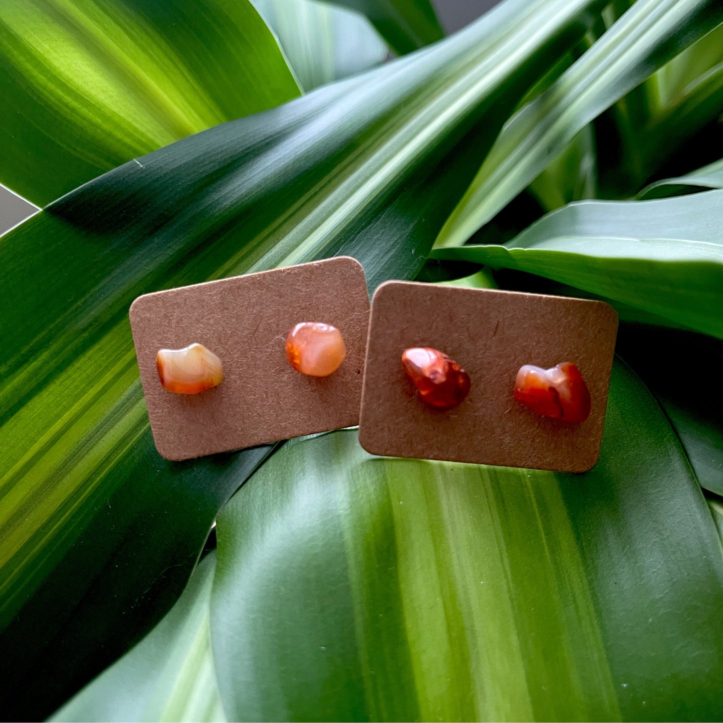 Carnelian Studs